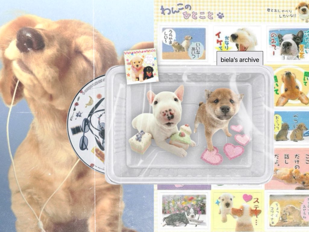 folioei's tweet image. ‧₊˚♪ soft days and cloud-like thoughts
tiny pieces of something sweet

by folioei 👔🌟