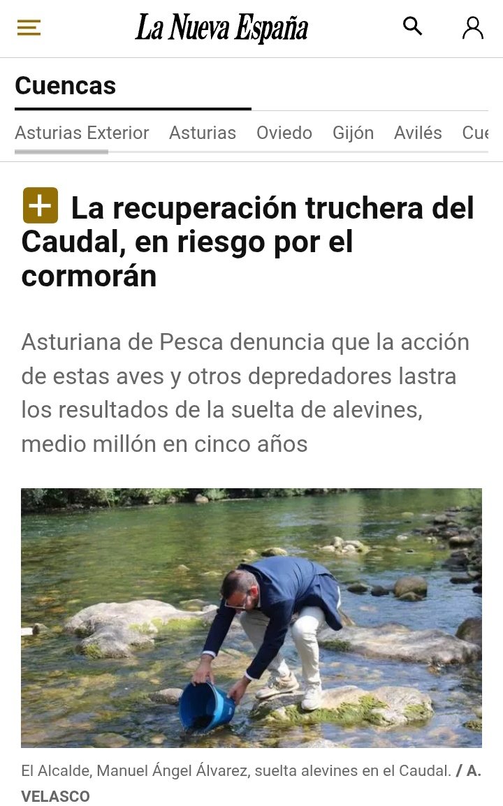Pablo Perez tweet media