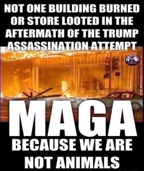 🎯💯🎯💯🎯💯🎯💯🎯💯