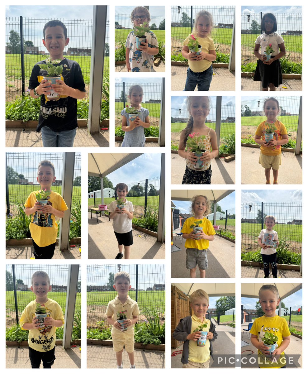 GrangeMissBa's tweet photo. In #GrangeScience, Year 1 have started their investigation to see what happens when water is taken away from a plant. We can’t wait to see what happens next! @GrangeMissA @GrangeMrsMcG @GrangeMrsM https://t.co/OjoPAuUNPY