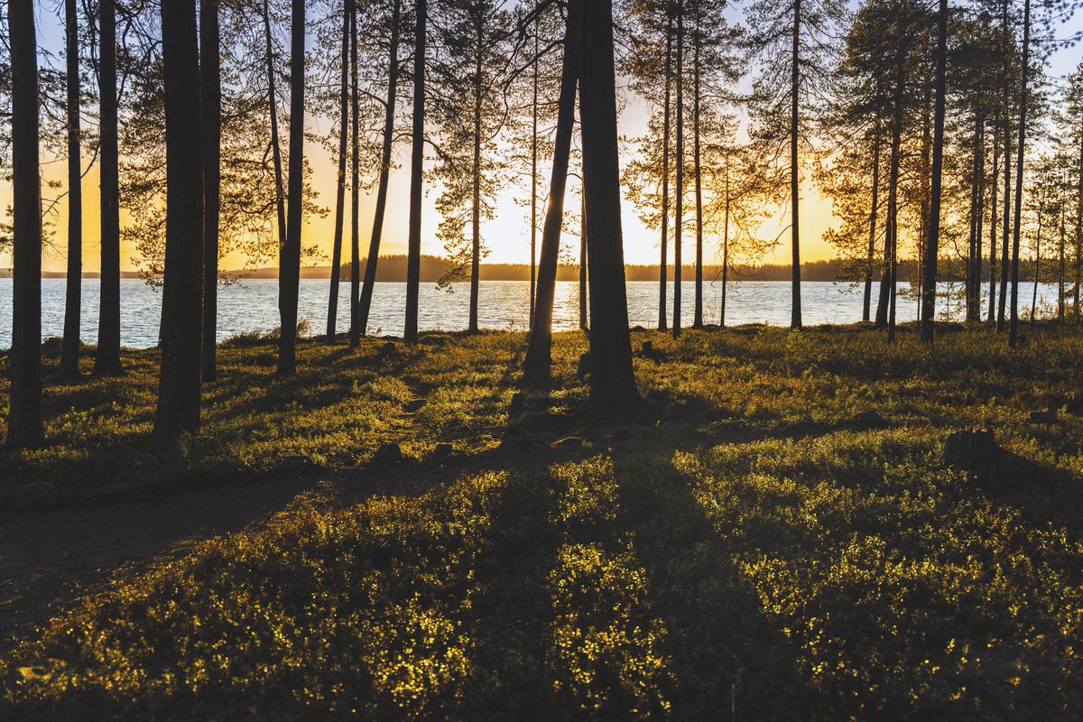 Nordic Unique Travels tweet media