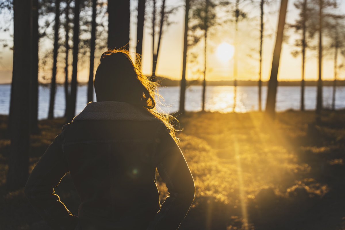 Nordic Unique Travels tweet media