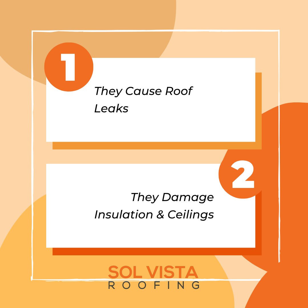 solvistaroofing's tweet image. Ice dams may seem harmless, but ignoring them can lead to roof leaks, damaged insulation, mold growth, gutter problems, and higher energy bills—trust your local roofing company to prevent costly winter damage.
#DenverRoofRepair #IceDams #DenverRoofers #WinterRoofing
