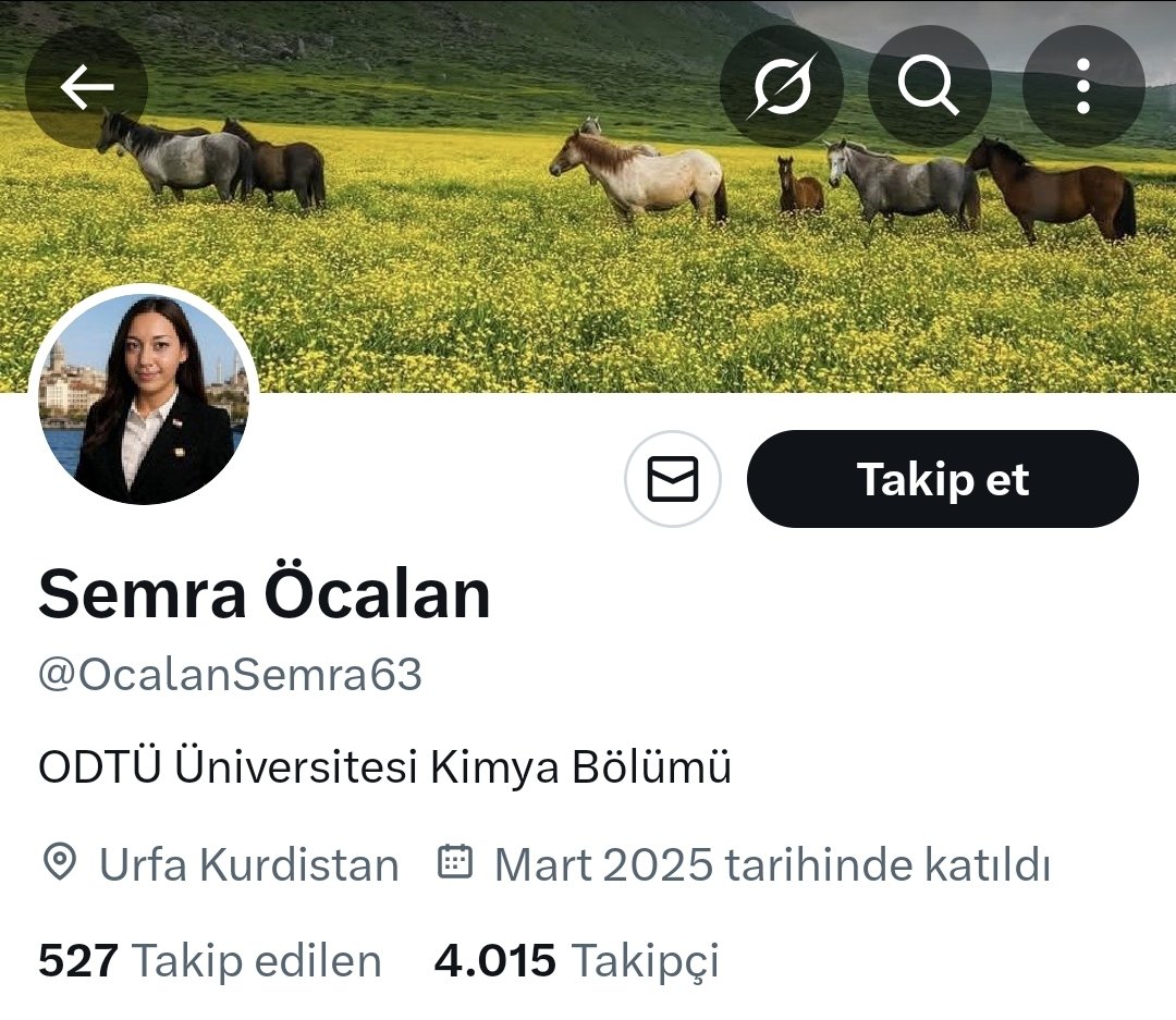 Turkcu_ilke tweet media