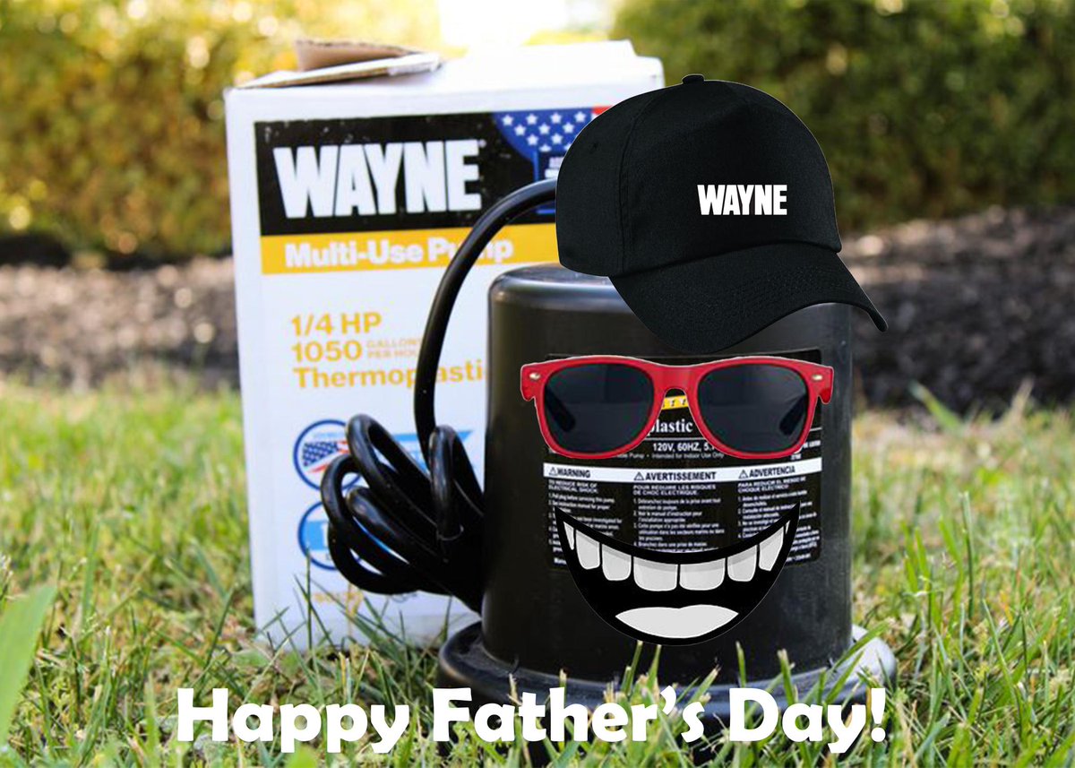 WAYNEPumps's tweet photo. Happy Father’s Day! The best Dads protect their home and family from water damage with Wayne pumps! #FathersDay #WaynePumps https://t.co/zntEvANMW8