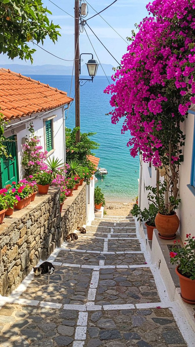 Beautiful view..! 🌿🏡🌺🌿🌸

📸 Pinterest