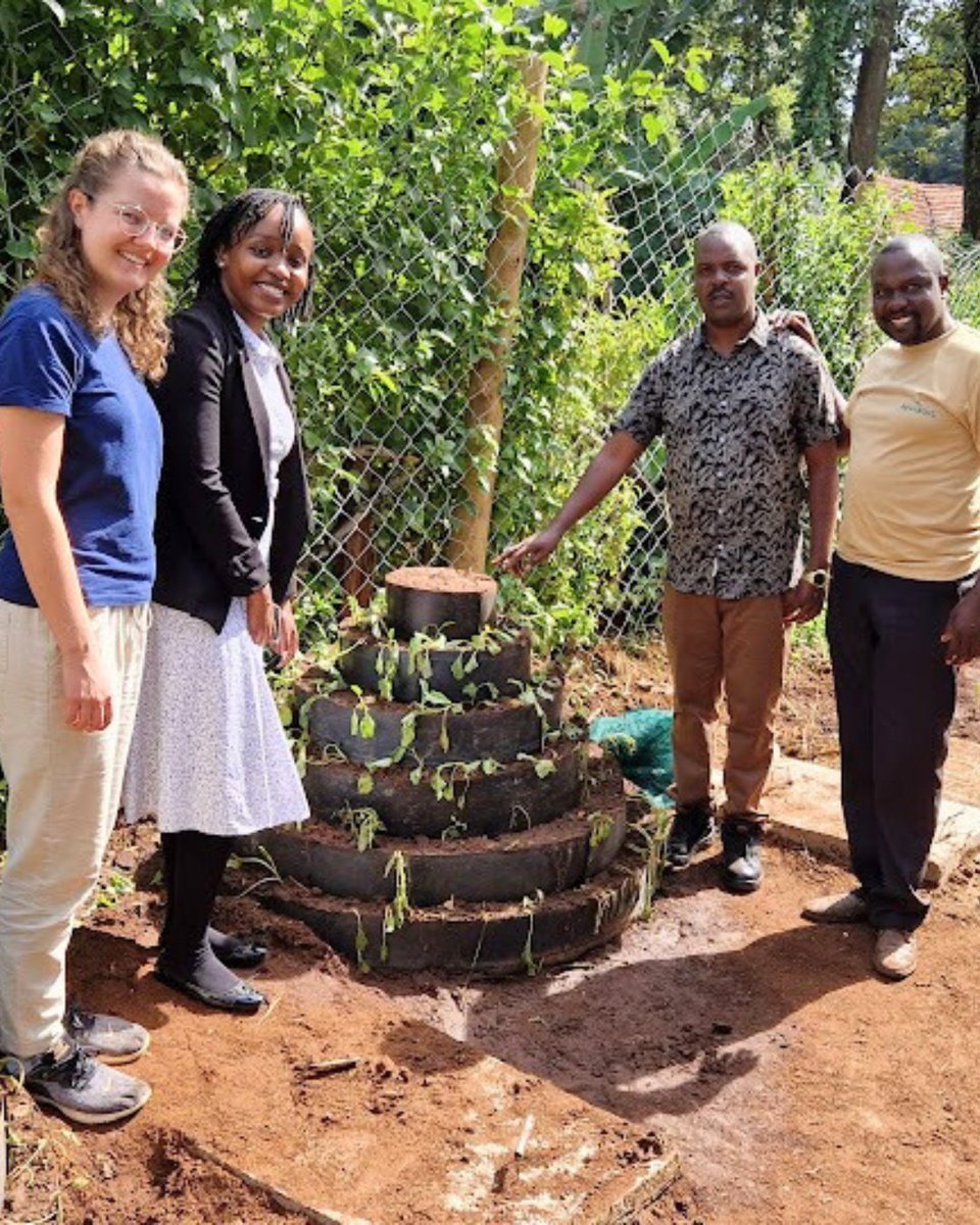Big news 🌱 We’ve started a community garden at PMM!
It’ll provide fresh food for our kids and teach life skills to their amazing mothers 🍌🥬 Empowerment through growth. 

#CommunityGarden #PMMFamily #KitaleKenya #Gardening