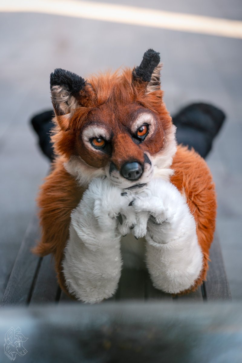STATUSMODUL XCOM-FURVARIA (@furvaria) on Twitter photo Fröhlichen 1. #FursuitFriday auf der #Furvaria!
Wir stellen euch jeden Freitag eine Team-Person vor. Heute: Chair-Fuchs <a href="/Shirefox/">ShireFox Farm</a>, seit ca. 10 Jahren im Fandom sowie Gründungsmitglied und Kassenvorstand der <a href="/MuenchnerFurs/">Münchner Furs e. V. • Munich Furs</a>.
Danke an <a href="/Lutu/">ロシナンテ</a> und <a href="/VlaaaceK/">VlaceK</a> für die Bilder!
#fox #furry Fröhlichen 1. #FursuitFriday auf der #Furvaria!
Wir stellen euch jeden Freitag eine Team-Person vor. Heute: Chair-Fuchs <a href="/Shirefox/">ShireFox Farm</a>, seit ca. 10 Jahren im Fandom sowie Gründungsmitglied und Kassenvorstand der <a href="/MuenchnerFurs/">Münchner Furs e. V. • Munich Furs</a>.
Danke an <a href="/Lutu/">ロシナンテ</a> und <a href="/VlaaaceK/">VlaceK</a> für die Bilder!
#fox #furry
