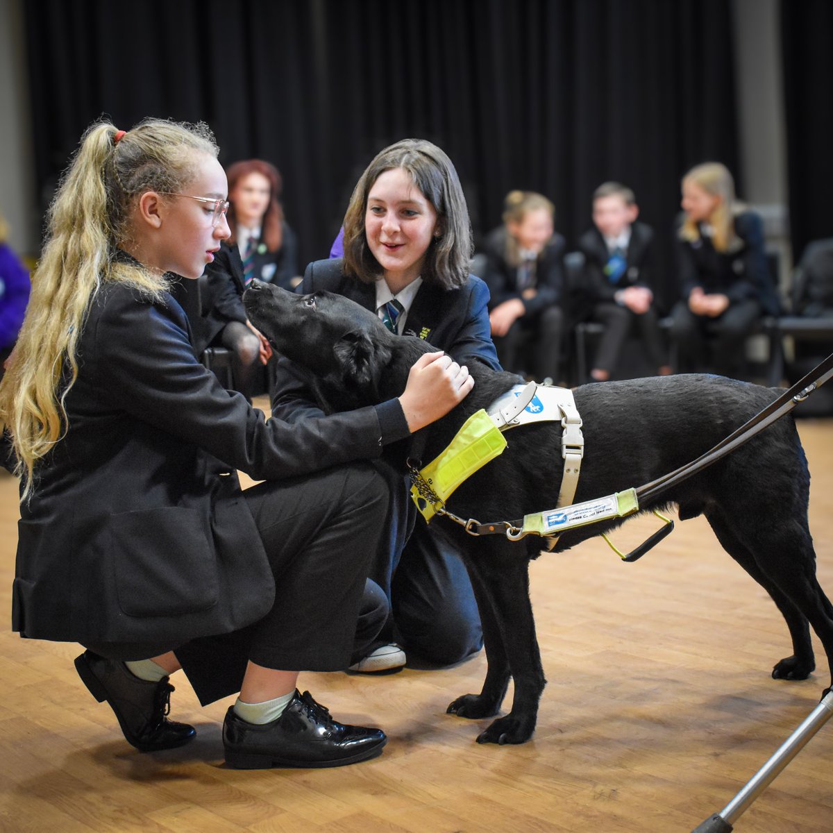 Marden High School (@mardenhigh) on Twitter photo The sale of tickets from Marden's Got Talent raised hundreds of pounds for our chosen charity, <a href="/guidedogs/">Guide Dogs</a> Yesterday, Irene and her dog Breezy came into school to thank Cabinet members and talk about what that money means to the association and how the charity will use it! The sale of tickets from Marden's Got Talent raised hundreds of pounds for our chosen charity, <a href="/guidedogs/">Guide Dogs</a> Yesterday, Irene and her dog Breezy came into school to thank Cabinet members and talk about what that money means to the association and how the charity will use it!