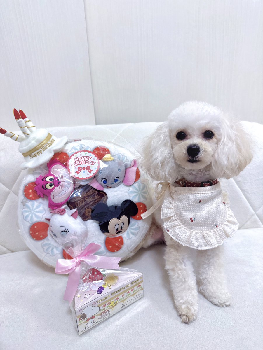 くるみ、お誕生日おめでとう🐶🎂♡