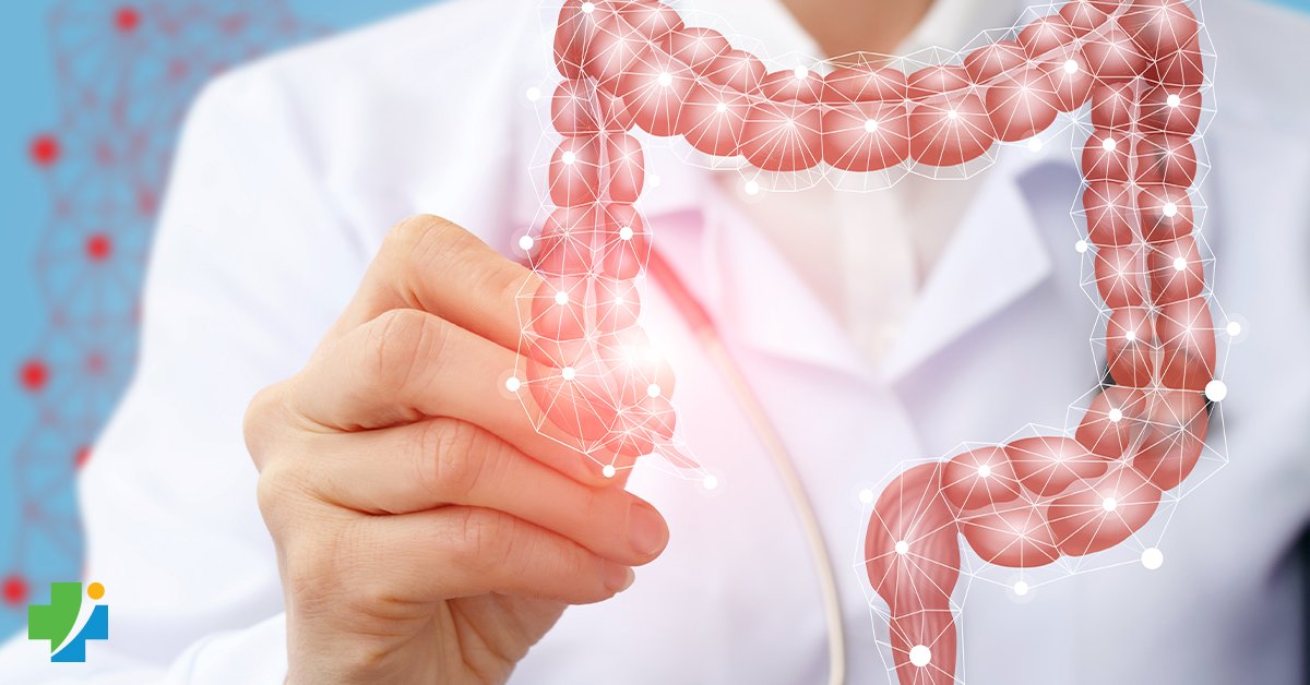 Our board certified gastroenterologists are experts in the management of liver disease, advanced endoscopy, inflammatory bowel disease (IBD), and other conditions. Call (413) 540-5048 for an appointment!