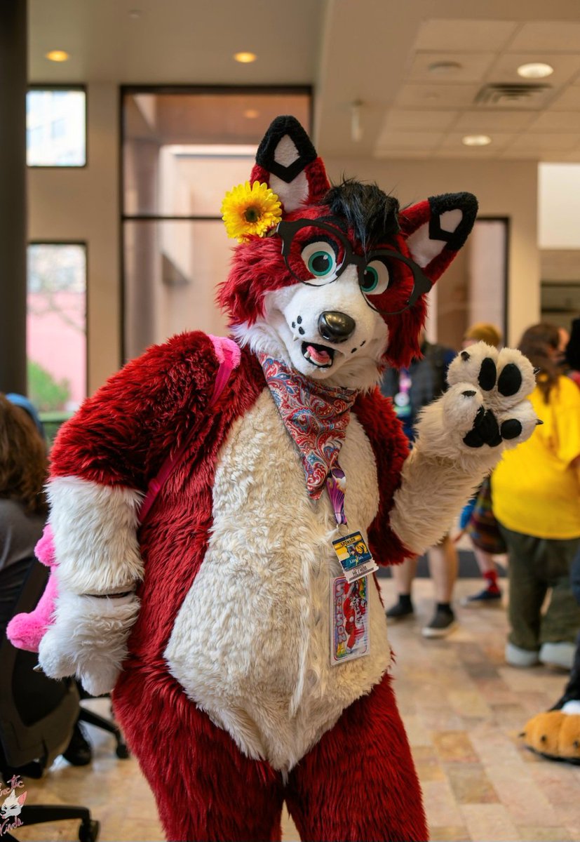 KibbyFop ๐พ - ๐ AnthrOhio '25 (@yipmeew) on Twitter photo Post a pic of you at your happiest while fursuiting.
Here's mine :3 ๐
#FursuitFriday
๐ธ: <a href="/ArcticWindPhoto/">Arctic Winds Photos</a> Post a pic of you at your happiest while fursuiting.
Here's mine :3 ๐
#FursuitFriday
๐ธ: <a href="/ArcticWindPhoto/">Arctic Winds Photos</a>
