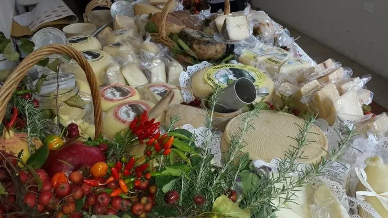 MondoInTasca tweet media