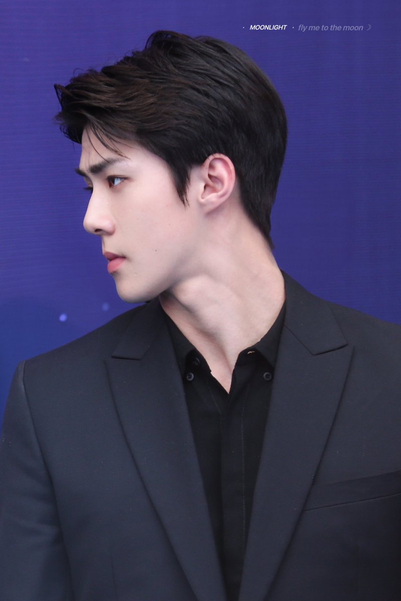 도베르만 세훈 약간 이런 깔 올블랙 섹시세훈