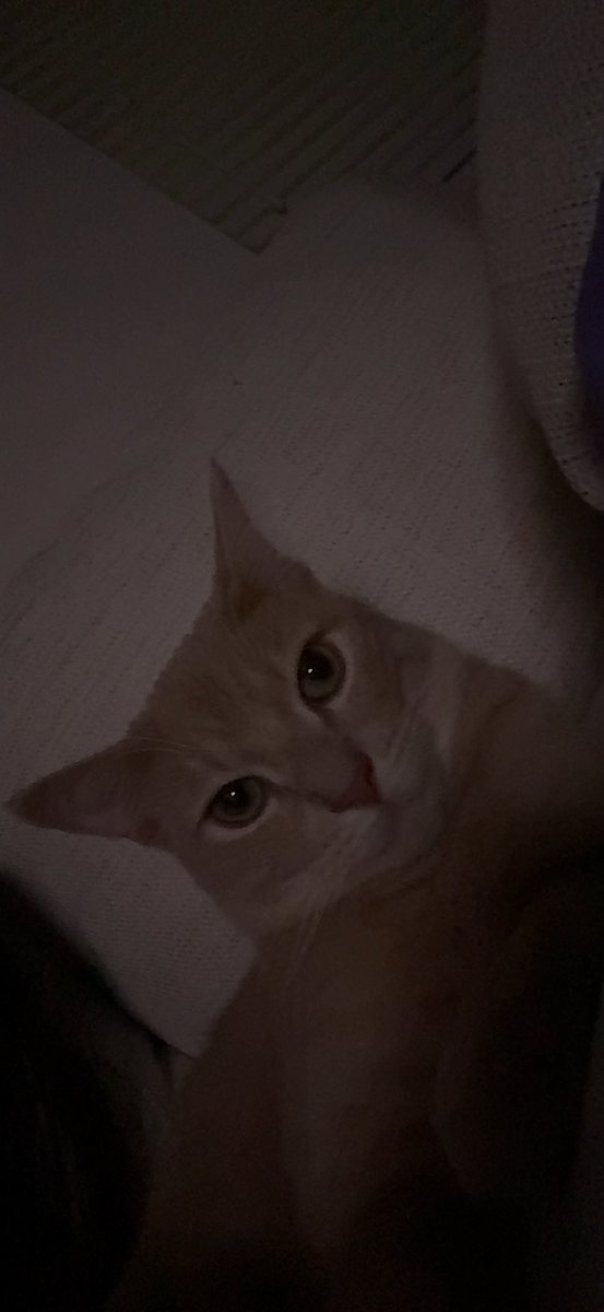 Match day vs <a href="/pprxteam/">Paper Rex</a>  hello 🇨🇦