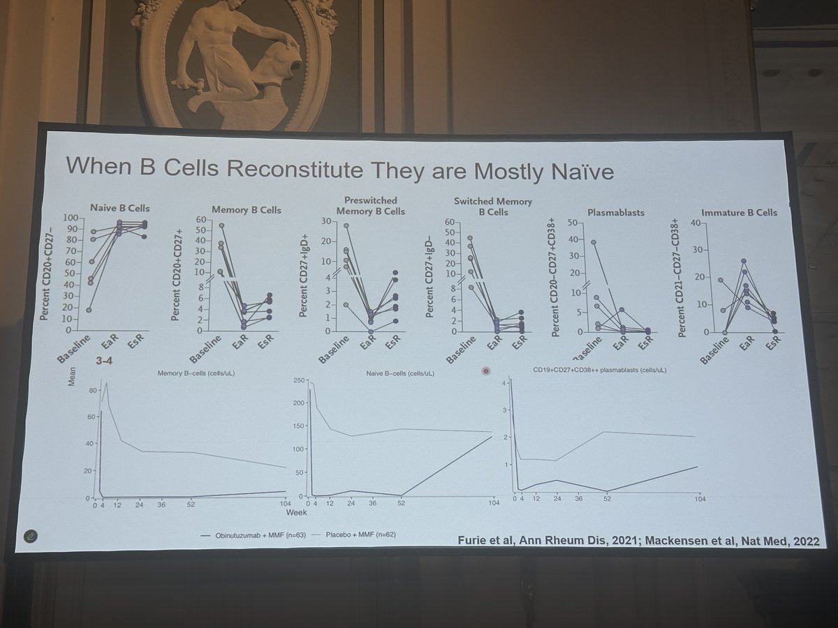 ISGD_la's tweet image. CART-T cells en nefritis lúpica 🐺 (2/3) 🧵 

⬆️ depleción de células B vs obinutuzumab

📈 cuando se reconstituyen las cels. B  son vírgenes (naive)

⬆️ depleción en tejido linfático

⬇️ cels. Th foliculares y cels. dendríticas

#PodocyteConference 🐙 

@ISGDtweets
@PodocyteIPC