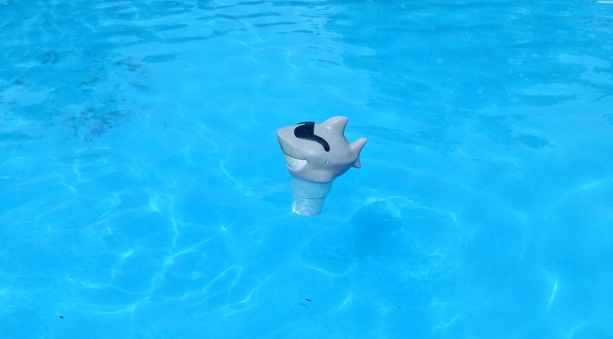 ChrisShadows90's tweet photo. Hitting 100f (37.5c for EU folks) so going to spend the day with Jaws in pool. 🥵 https://t.co/EaVsdmiXUV