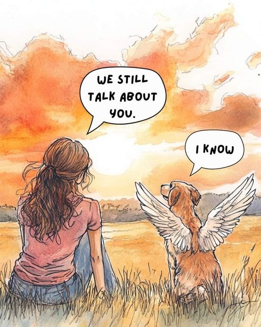 ❤️❤️❤️🐾