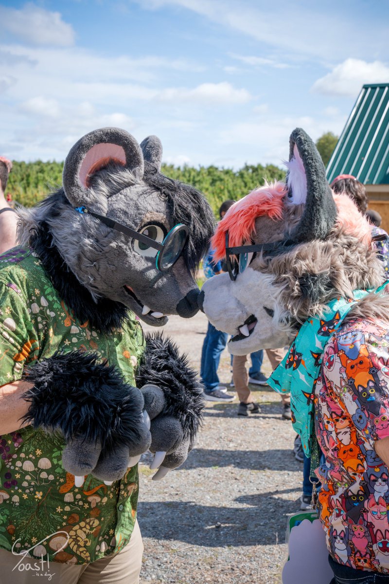 Wix (@skunkwix) on Twitter photo Touching (nose)tips with your friends π³π³π³
#FursuitFriday
π±: rokapop (π¦)
πΈ: <a href="/ToastIsADog/">Toast! π₯ͺ π AC</a>
π§΅: <a href="/RitzCostumes/">Ritz Costumes</a> Touching (nose)tips with your friends π³π³π³
#FursuitFriday
π±: rokapop (π¦)
πΈ: <a href="/ToastIsADog/">Toast! π₯ͺ π AC</a>
π§΅: <a href="/RitzCostumes/">Ritz Costumes</a>