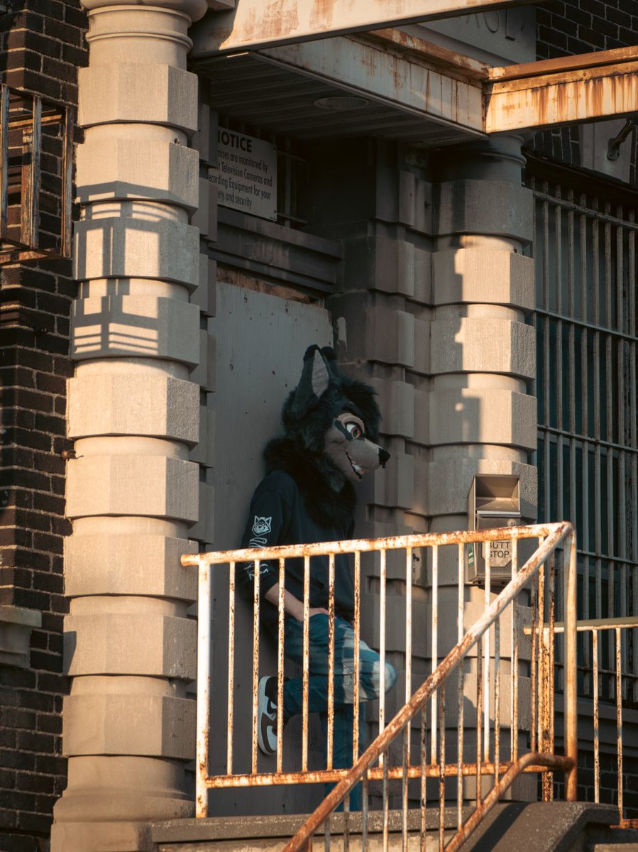 Let's get into some trouble together
#FursuitFriday