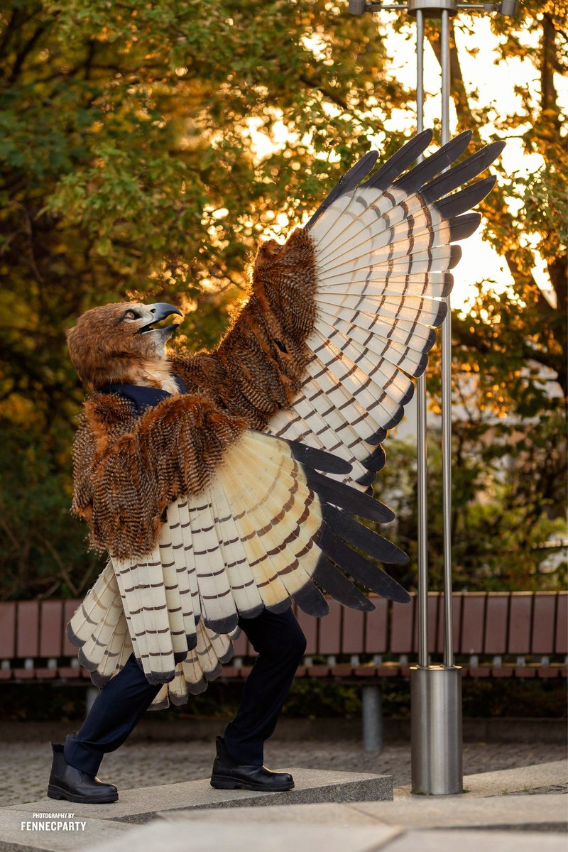 *shreeee*  ^v^

#FursuitFriday #Eurofurence #Hawk
🦅 by <a href="/clckwrkcreature/">Clockwork Creature</a>
📷by <a href="/FENNECPARTY/">MYLO 🦊📸</a>