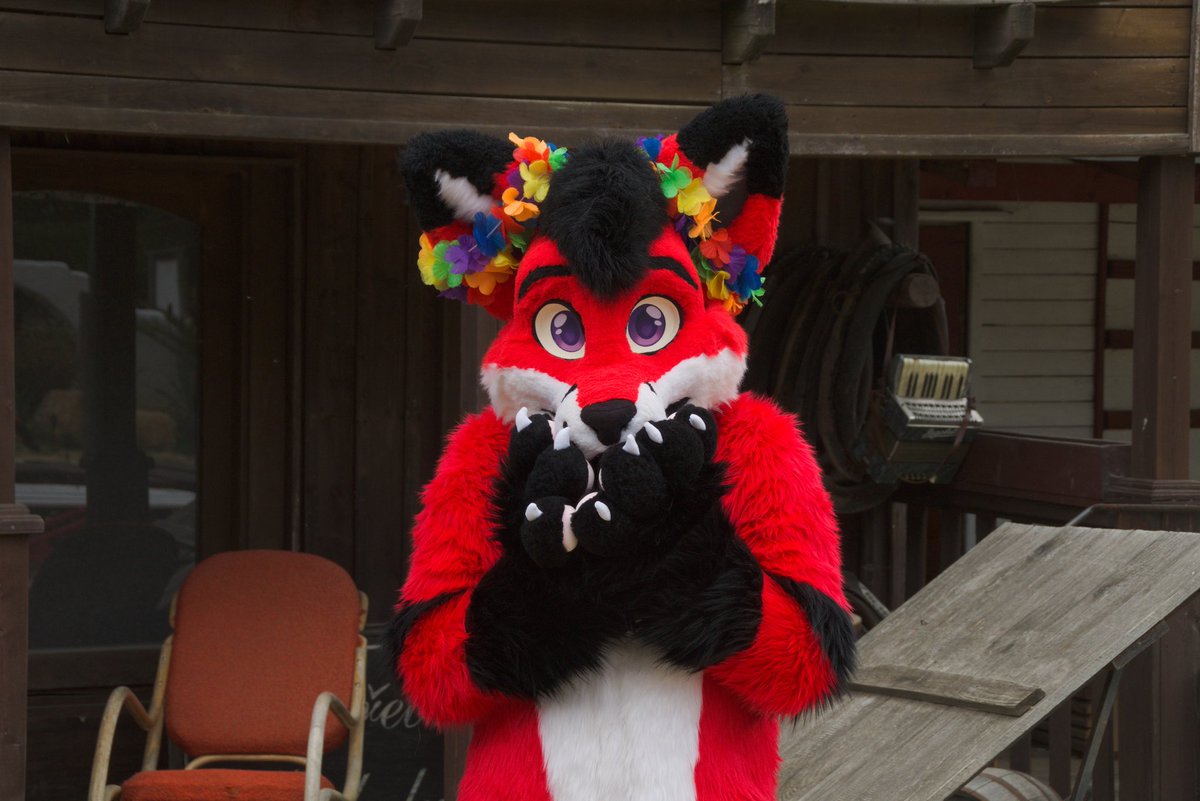 Happy fursuit friday ❤️
📷<a href="/ln37emp/">LN37emp/LNNY</a>