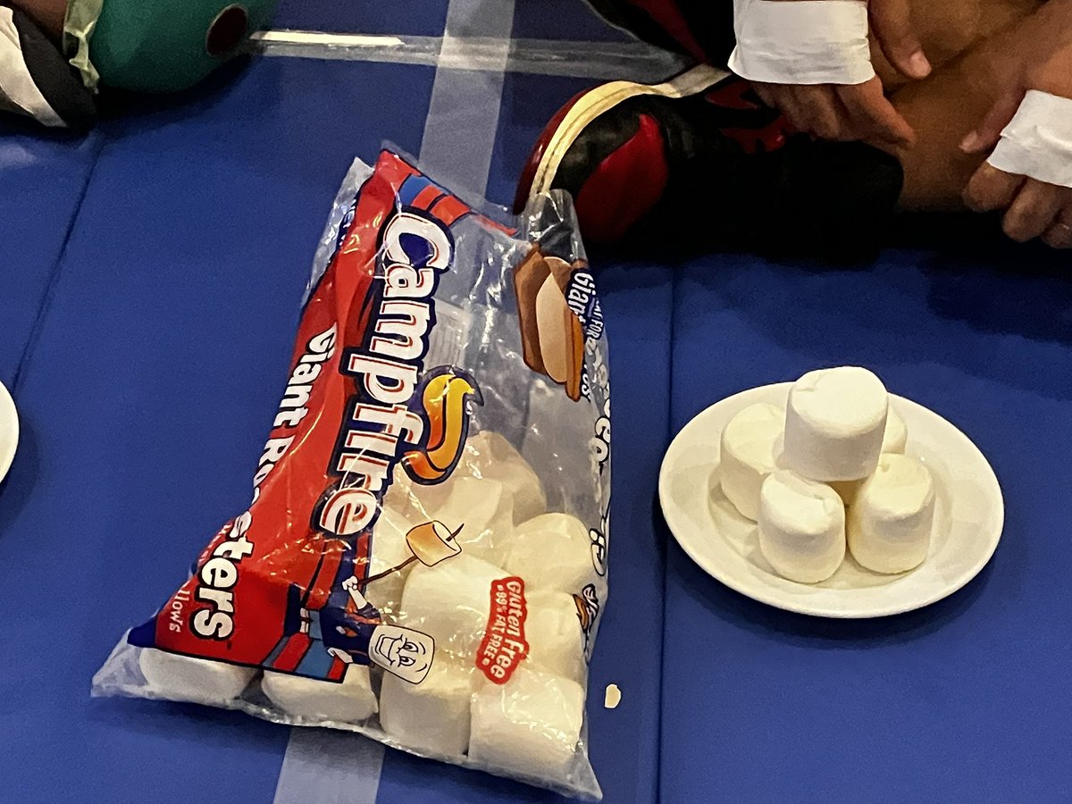 AtoC_042's tweet photo. 二試合目；マシュマロ早食い対決
某コ◯トコの巨大マシュマロ
実は試合前から戦意喪失のアキラ
後で聞いたけど、若い時に10日間マシュマロ食べて今は苦手らしい🤣
3個vs２個でアミサ勝利

#定アキラ
#緑野アミサ
#AlmaLibre
#BUTLERBERTH https://t.co/u4odIjnlAr