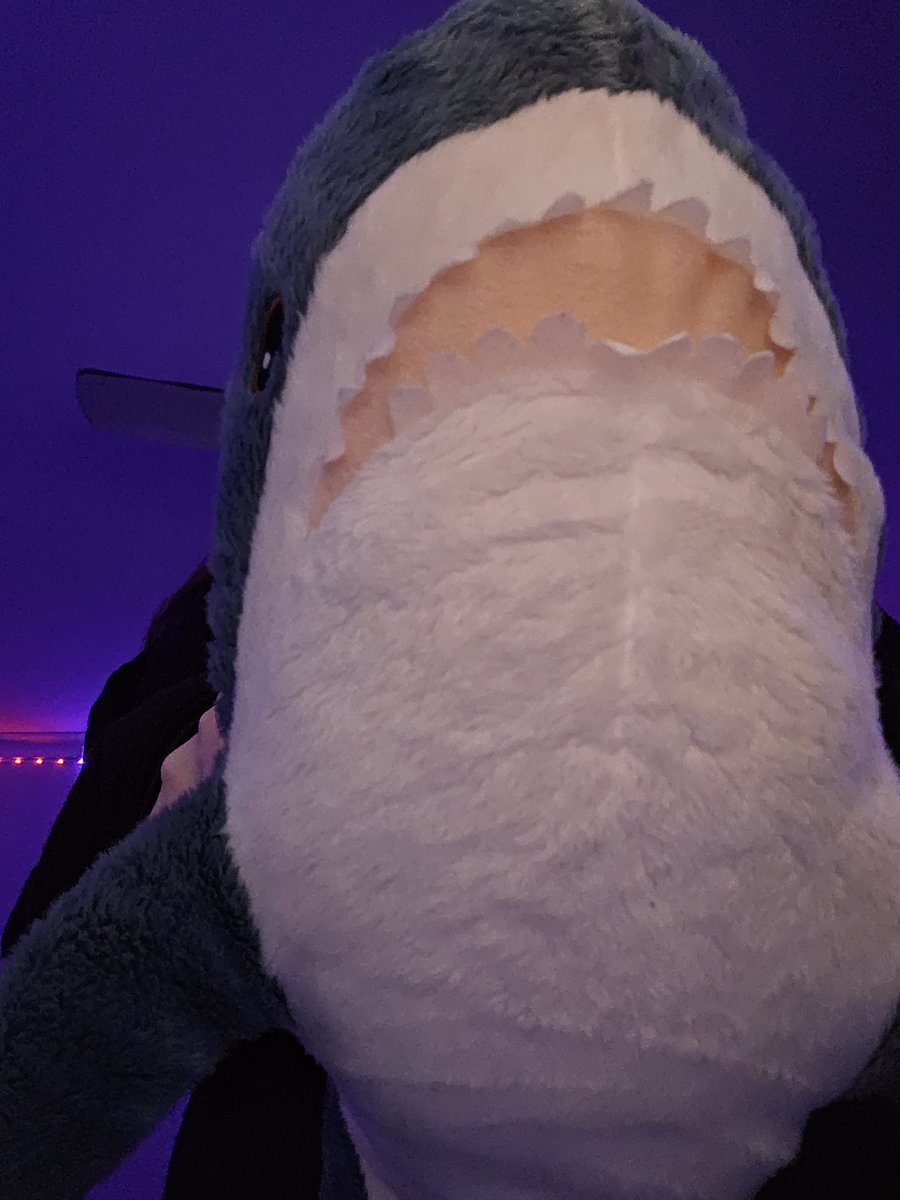 It's pride month 🏳️‍🌈 so here's a shork. gib shork snacks 🍫🦈