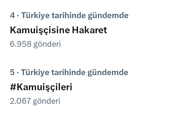 Kamuİşçisine Hakaret