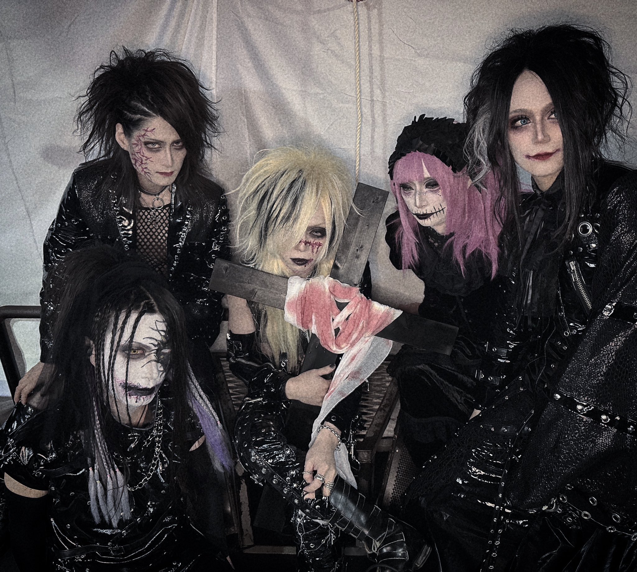 たぬき 希少 Deathpair_official on X:  健康・医学