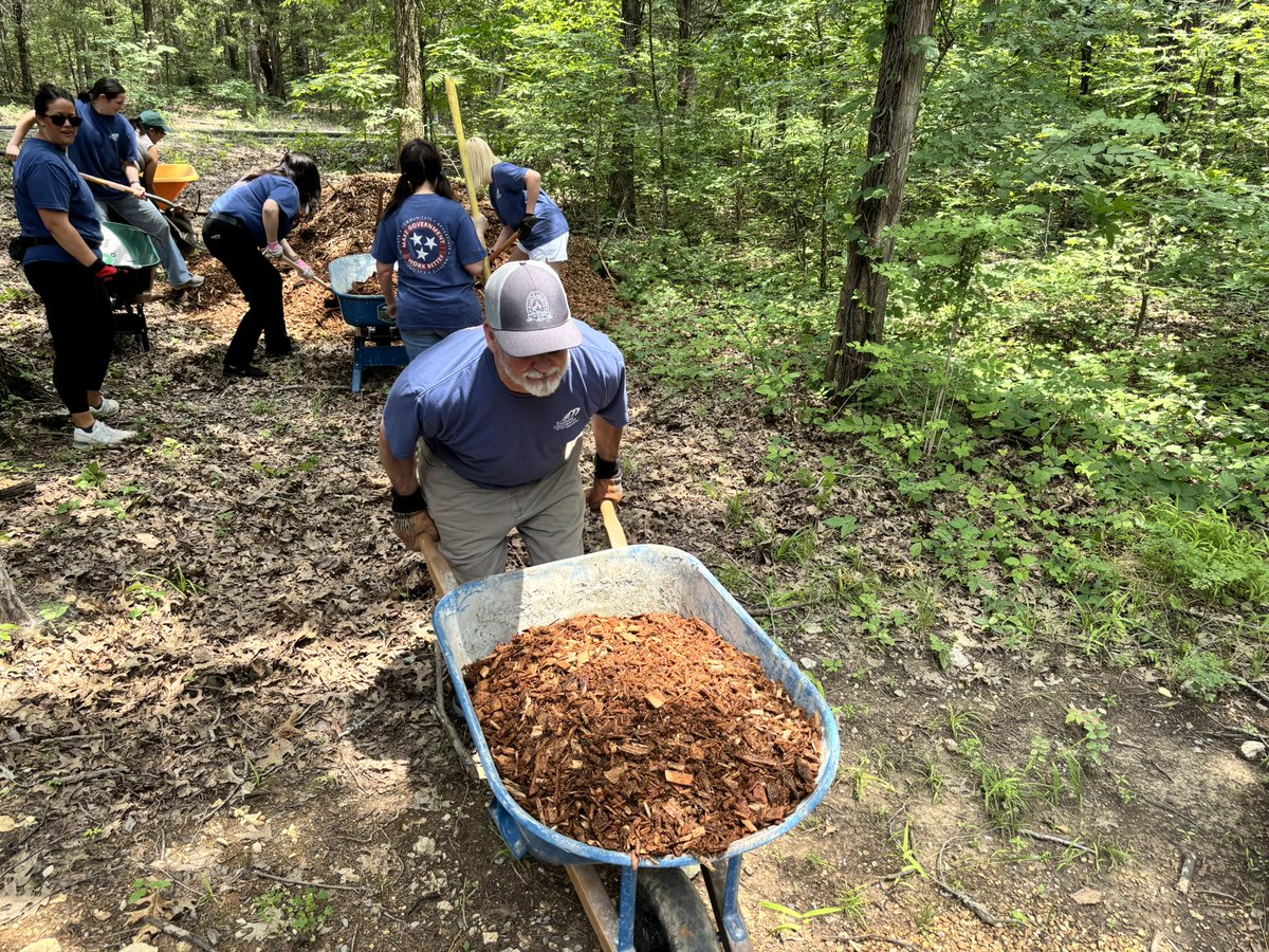 TNCOT's tweet image. Many of our COT Team members enjoyed volunteering yesterday afternoon at Cedars of Lebanon State Park! We love serving our communities together! #VolunteerState