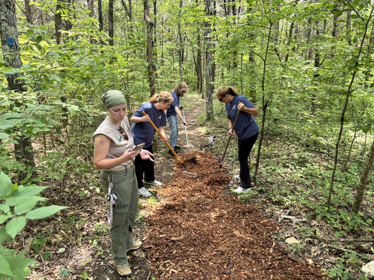 TNCOT's tweet image. Many of our COT Team members enjoyed volunteering yesterday afternoon at Cedars of Lebanon State Park! We love serving our communities together! #VolunteerState
