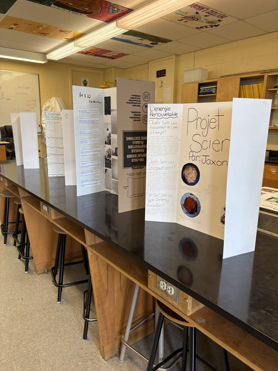 science_hsh's tweet photo. Grade 9 Science Fair Projects displayed at lunch today!@HolySpiritHS https://t.co/TqCMx0nwfg