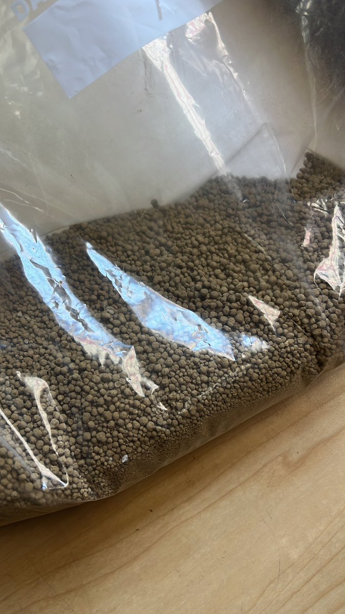 この発根用土すごい💡
これアガベの発根最適かも✨
今のところ2週間手こずってたオルカ、USノーネーム使い出し2日で発根✨
#アガベ　#発根管理　#発根用土