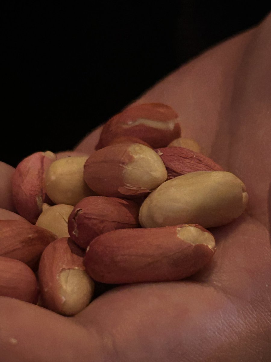 同期の飲み楽しかったヨォ~