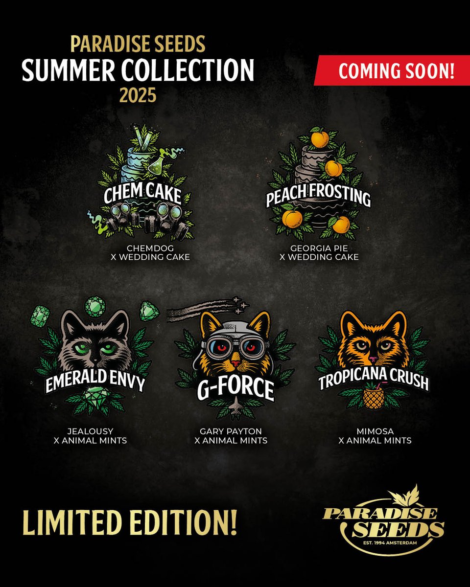 We’re about to open the vault for something very special...

🌱 5 unique varieties—developed with precision, selected for character.

A limited collection is on the way.

🗓️ Available from June 23rd - don't miss out!

#paradiseseeds #paradiseseedscommunity