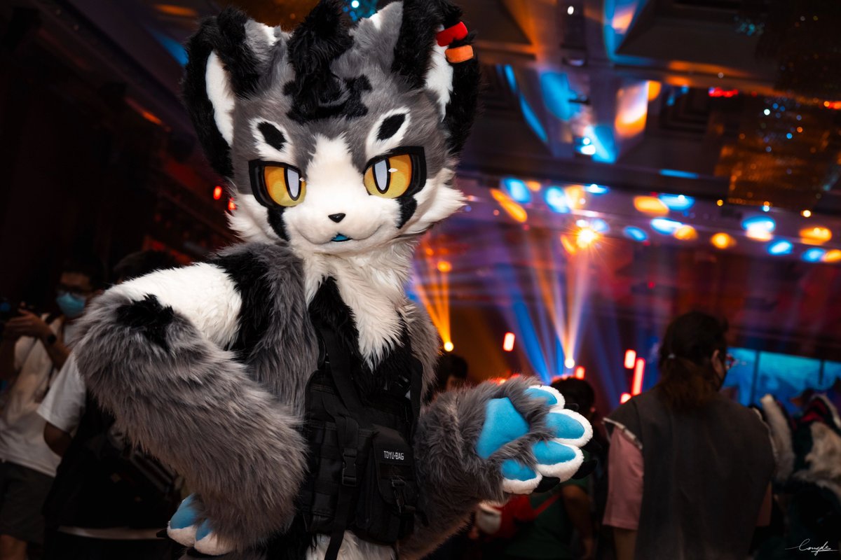 #FursuitFriday #FursuitEveryday 

"我的心略大于整个宇宙。"

📸: <a href="/Longde233/">隆德-Londer</a>