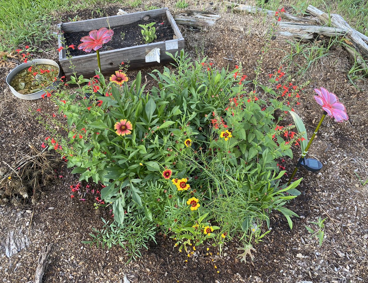 my beautiful flowers btw… IF u even care…