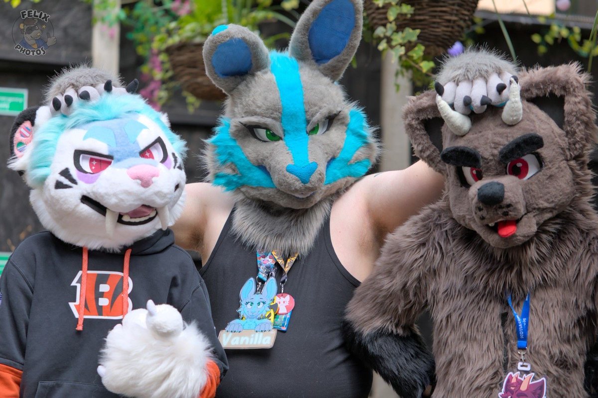 LincolnFursUK's tweet image. We do love some grey and blue colour palettes! Featuring @0zzysaurus, @vanillaroo and Greypaw. 

📷: Felixphotos on 🦋 
Join in on the fun ➡️ lincolnfurs.co.uk 

#LincsFurs #Furry #Furmeet #FurryFandom #FursuitFriday
