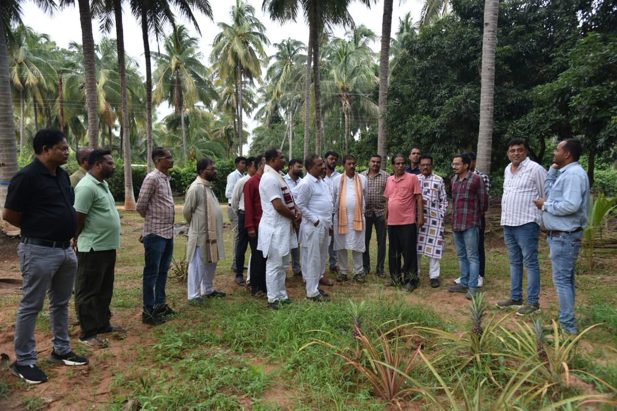 KondagaonDist's tweet image. ओडिशा के मंत्री ने की सराहना कोंडागांव प्रवास पर आए ओडिशा के वाणिज्य एवं परिवहन मंत्री श्री विभूति भूषण जेना ने कोपाबेड़ा स्थित नारियल विकास बोर्ड के कार्यों की प्रशंसा की। नारियल, कोको और पॉम ऑयल उद्यान का किया निरीक्षण। 
#CoconutDevelopment #Chhattisgarh  #MawaKondanaar