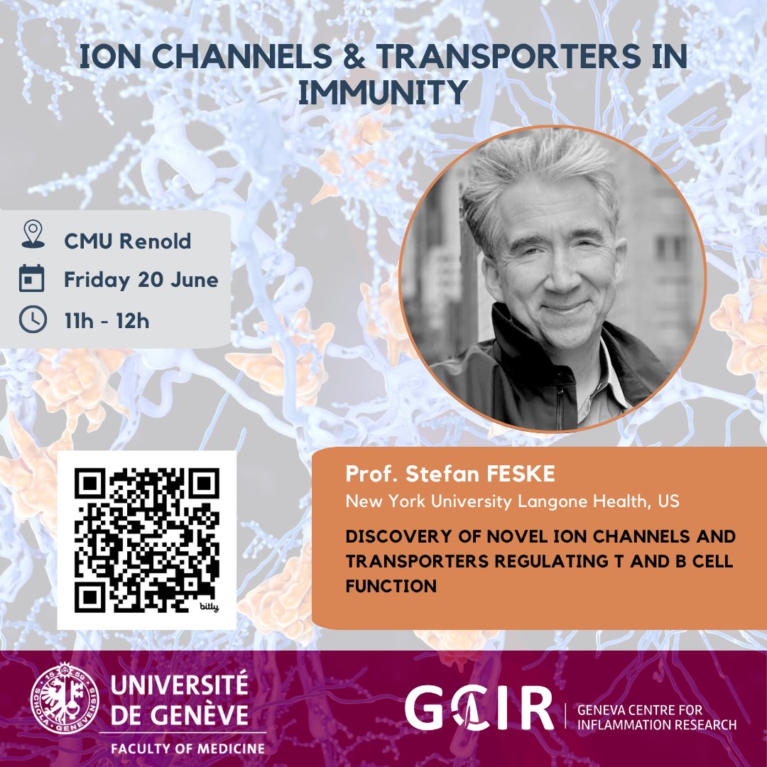 GCIR_Unige's tweet image. 🔬 Don’t miss Prof. Stefan Feske (@nyulangone) at @unige_en on June 20!

🕚 11:00 AM, Renold Auditorium, CMU
🧪 “Discovery of novel ion channels and transporters regulating T &amp;amp; B cell function”

🥪 Sandwiches after the talk!

🔗 bit.ly/43ViK9S
#Immunology #CRACchannels