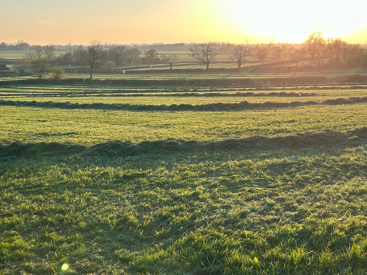 Corteva UK & Ireland - Forage (@cortevaforage) on Twitter photo Aiming to maximise your silage stocks for next year? 🤔
At 10 tonnes of fresh grass per acre ensiled, Pioneer®1188 provides a saving of 0.5 tonnes of silage dry matter or a reduction in losses equal to a saving of 1 acre of grass for every 20 ensiled.  📈 Aiming to maximise your silage stocks for next year? 🤔
At 10 tonnes of fresh grass per acre ensiled, Pioneer®1188 provides a saving of 0.5 tonnes of silage dry matter or a reduction in losses equal to a saving of 1 acre of grass for every 20 ensiled.  📈