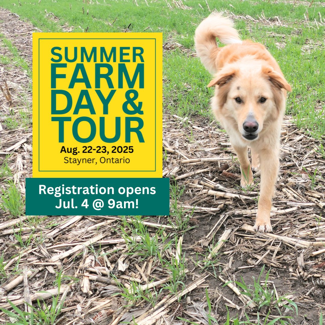 UPDATE: Registration opens Jul. 4 at 9am!

Larry is scouting the fields in prep for our Summer Farm Day &amp; Bus Tour—Join us Aug 22-23 to explore Andy &amp; Lori van Niekerk's farm, hear from a great line-up of speakers, take part in a regional bus tour &amp; more! 

#ontariosoilcrop