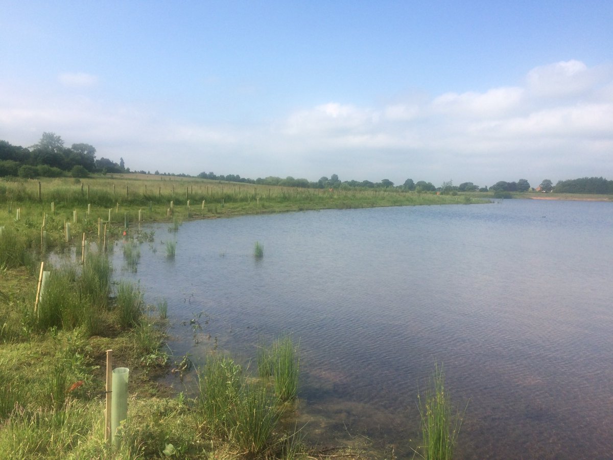 Quarry restoration project we finished about 10 years ago…you would never know that it was a quarry now!