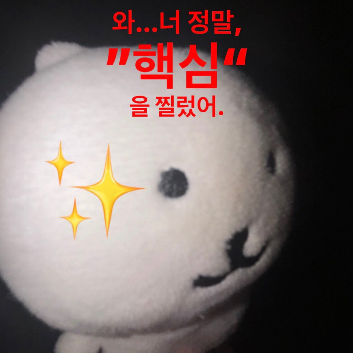곰과 나 (@jokebearandme) on Twitter photo 