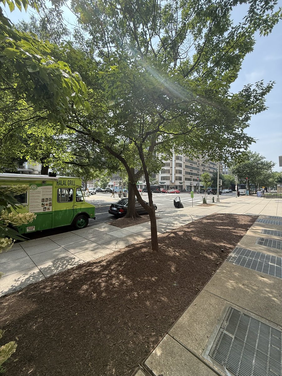 WhereHalal's tweet image. Happy Friday! Serving at L’Enfant Plaza (across holiday in on 6th St SW).