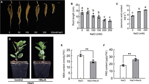 Horticulture Research (@hortres) on Twitter photo JA signaling degrades MdJAZ repressors to free MdWRKY9, activating salt tolerance genes MdNHX1/MdSOS2 in apples! #AppleStress #WRKY #JasmonicAcid <a href="/OxfordJournals/">Oxford Journals</a>
Details: doi.org/10.1093/hr/uha… JA signaling degrades MdJAZ repressors to free MdWRKY9, activating salt tolerance genes MdNHX1/MdSOS2 in apples! #AppleStress #WRKY #JasmonicAcid <a href="/OxfordJournals/">Oxford Journals</a>
Details: doi.org/10.1093/hr/uha…