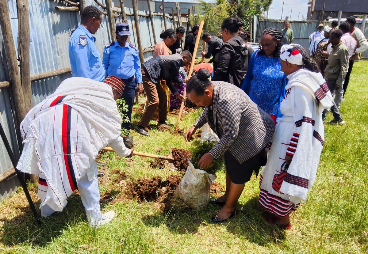 EifddaForyou's tweet image. 🌿 Holeta City is transforming!
Thanks to Ms. Tshay Dodi’s powerful leadership, the "Mother of Peace" platform & School Clubs are empowering women & girls through interfaith peace & gender-sensitive training.
Tree planting marked #EnvironmentDay & our unity for peace & #FoRB!