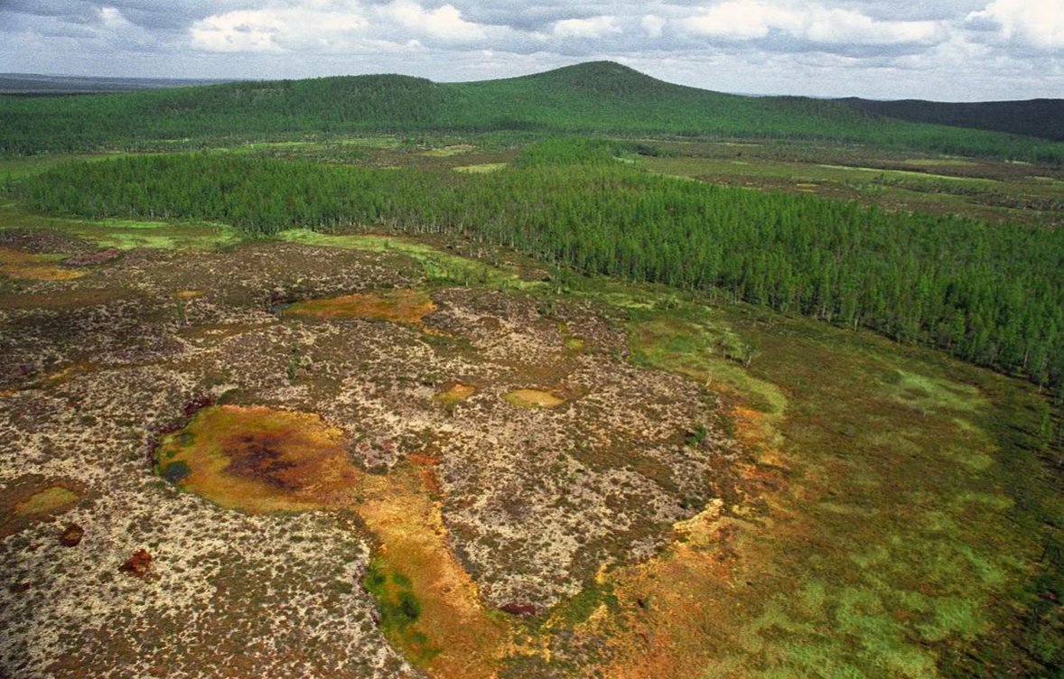 В конце июня день Тунгусского метеорита, прилетевшего на Землю в 1908 году. По мне, так это была пристрелка по нам.😌Будем вести себя не адекватно-сотрут нас к чёрту.😠Шутка, но с немалой долей правды.🙃