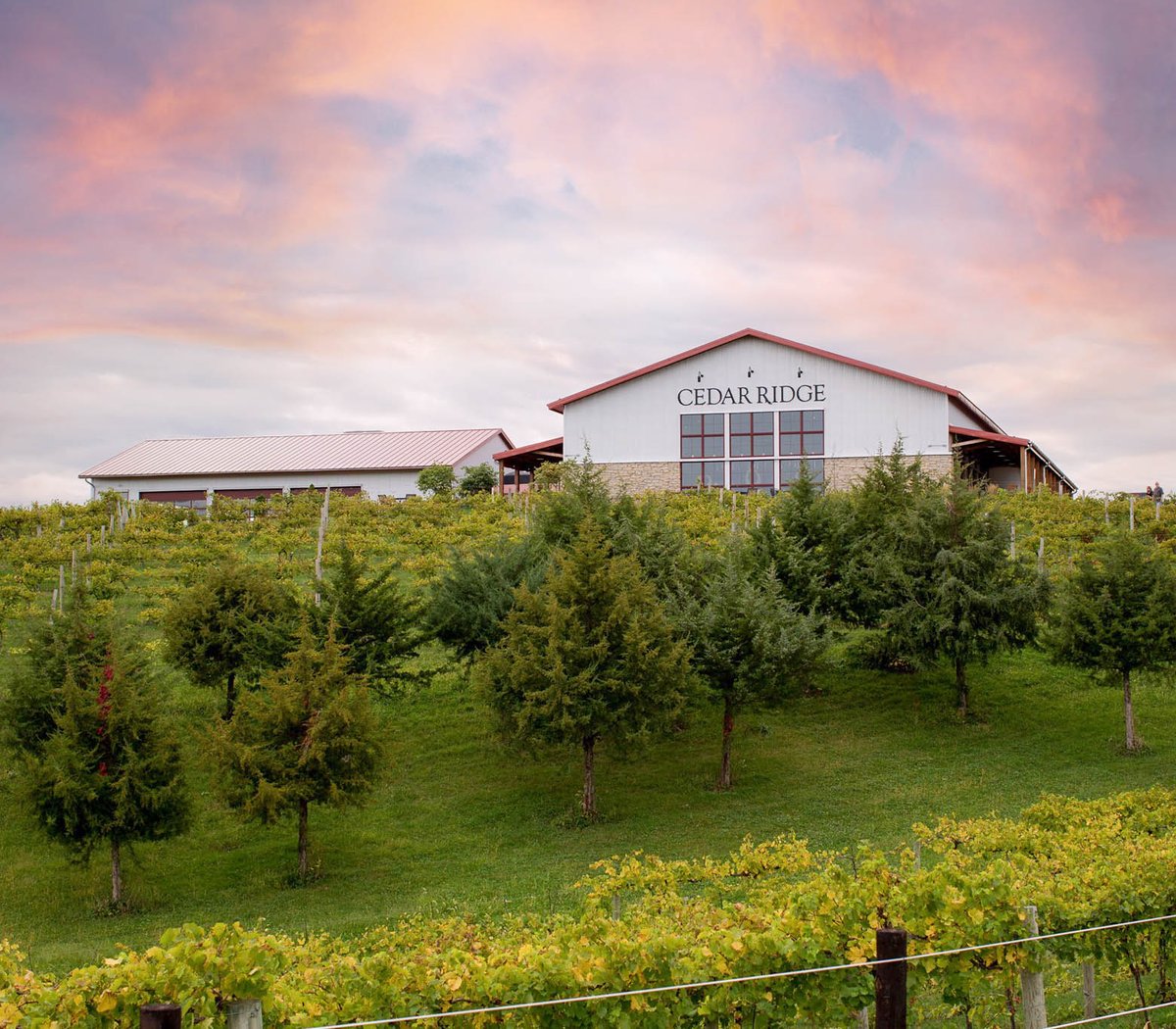 IowaSoybeans tweet media